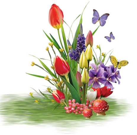 Весенний праздник красоты