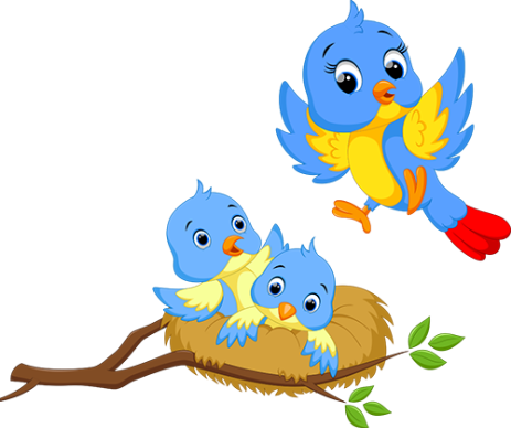 Птицы - наши друзья